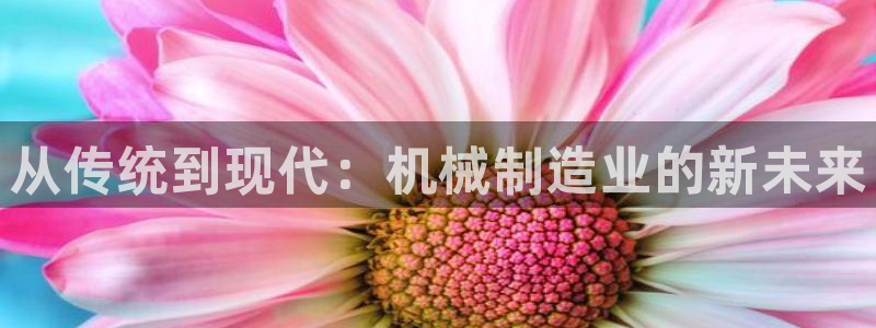云顶集团网站app下载安装