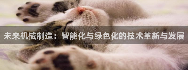 云顶国际的网址是多少