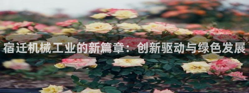 云顶国际停车费多少