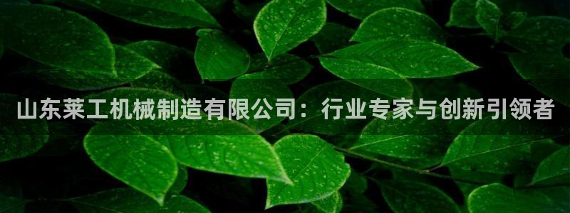 云顶国际平台游戏可靠吗