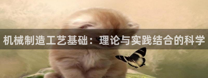 云顶国际缆车起点在哪里啊