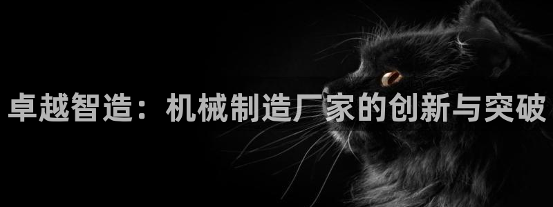 云顶国际电子游戏怎么玩