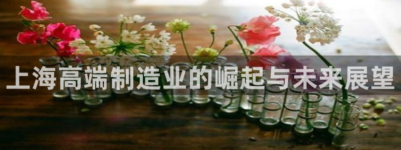 云顶国际app官方下载安装最新版