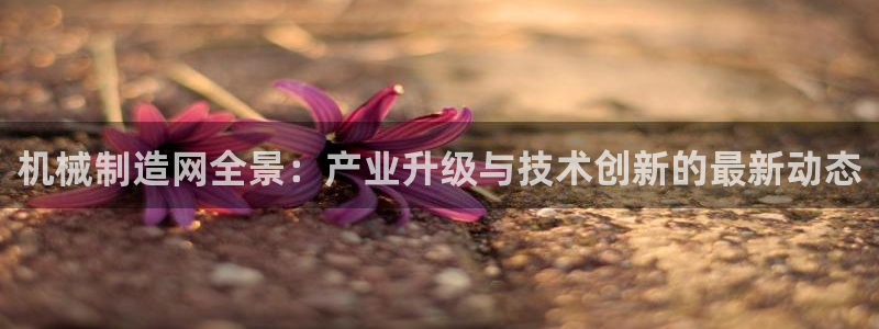 云顶国际培训中心学费