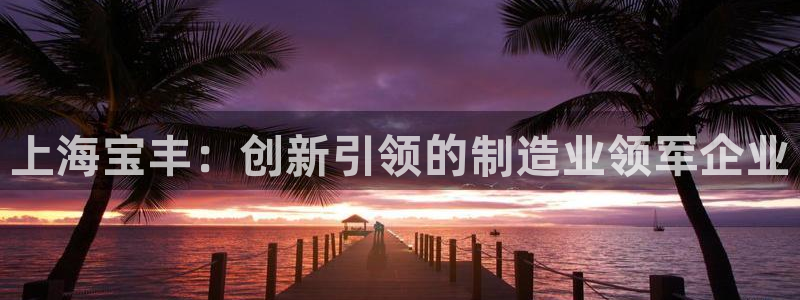 云顶国际电子游戏怎么玩