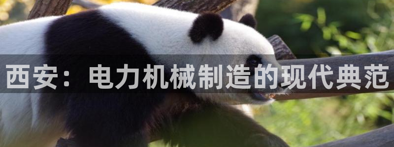 云顶国际App下载