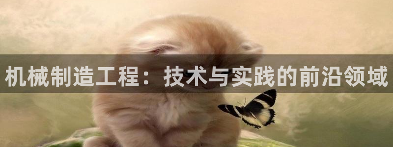 云顶国际北大街