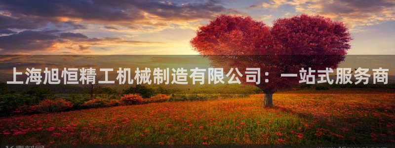 云顶国际版怎么下载