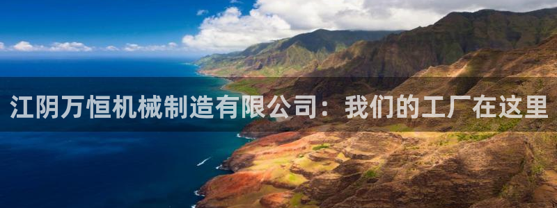 云顶国际是做什么的