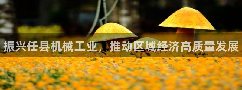 云顶集团老板是谁