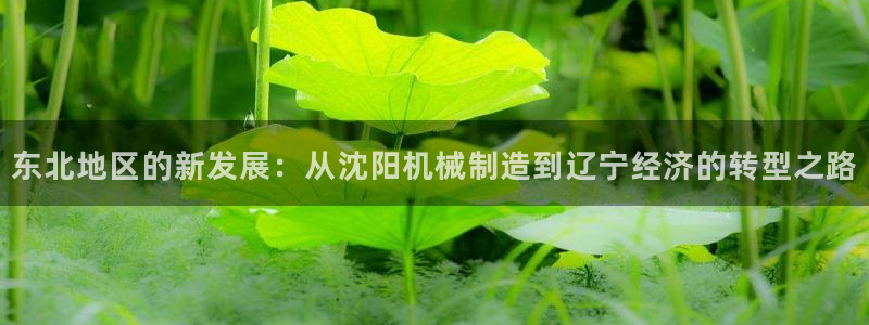 云顶国际能提现吗知乎