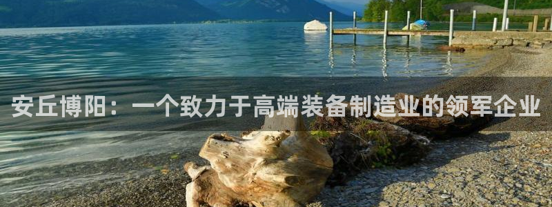 云顶集团中国区