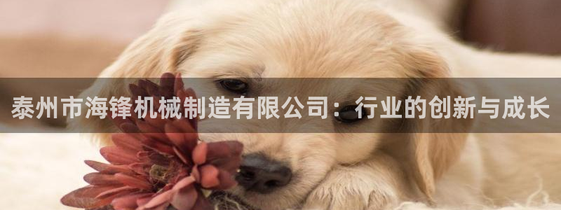 云顶国际是什么软件