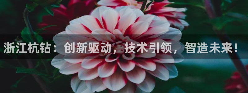 太原云顶国际酒店老板