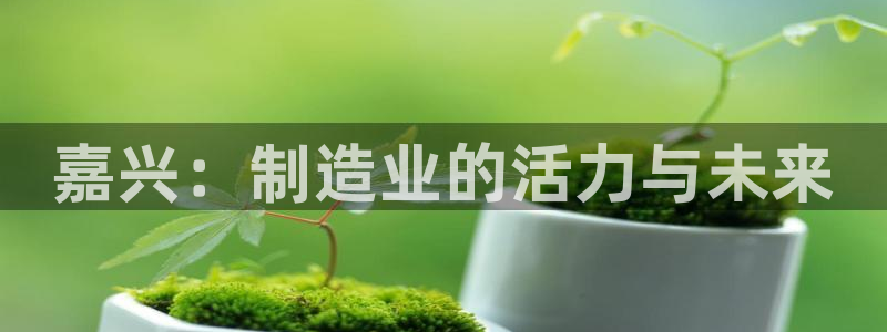 云顶国际服怎么选服务器