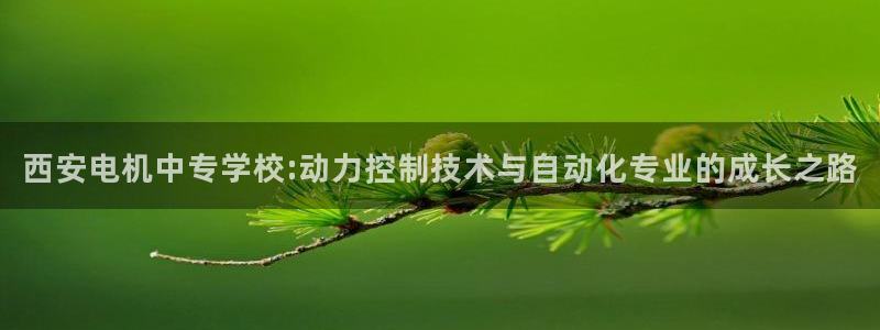 云顶国际赌彩公司下载