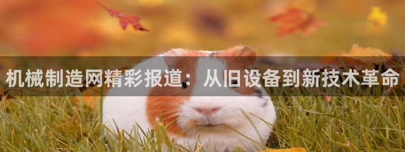 云顶国际是黑台吗还是彩台