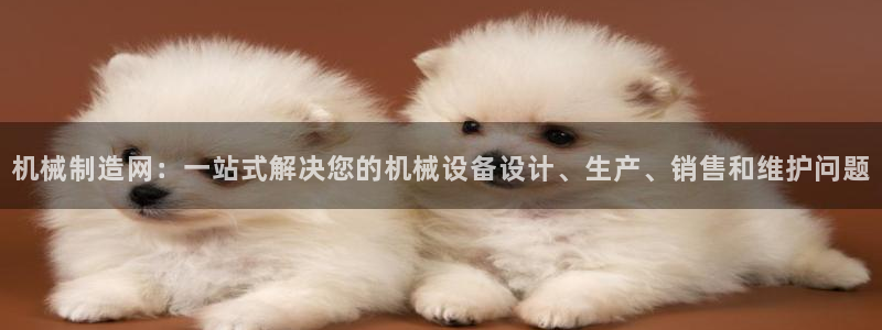 云顶国际服没有改名卡