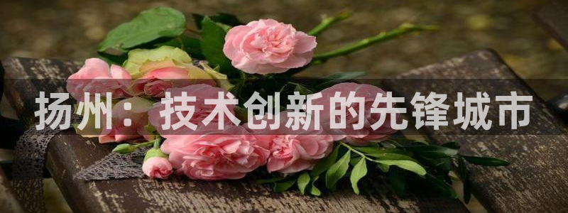 云顶国际公馆怎么样