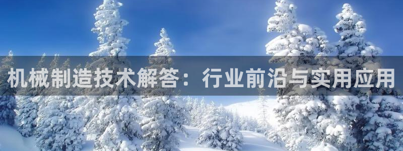 云顶集团林东简介