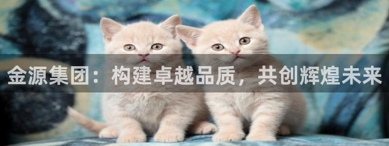 云顶国际网站能玩吗