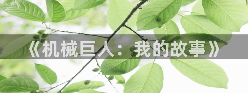 云顶集团中国分公司