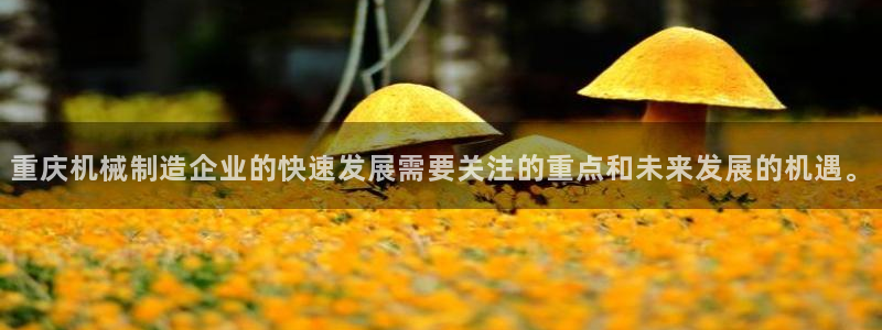 云顶国际物业电话