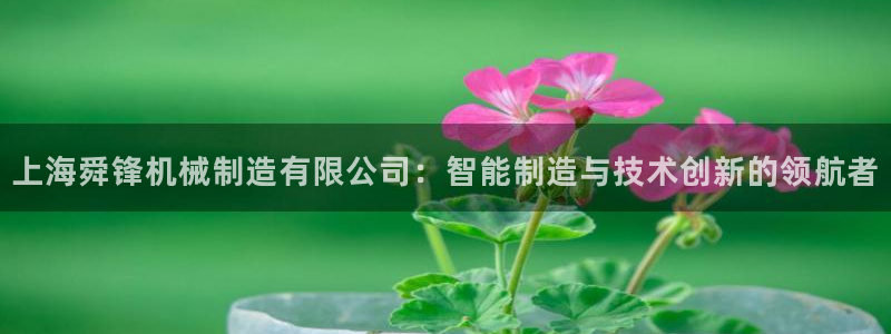 云顶国际在线登录不了