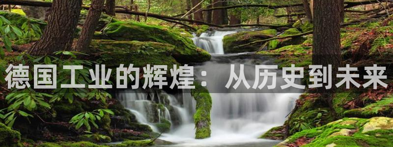 云顶国际官网官方网站