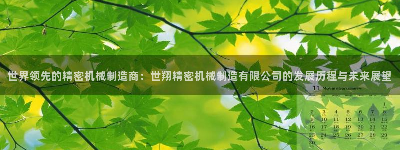 云顶国际中国官方网站下载