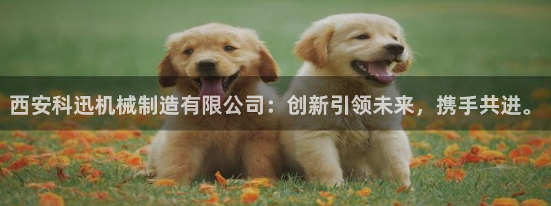云顶国际会所