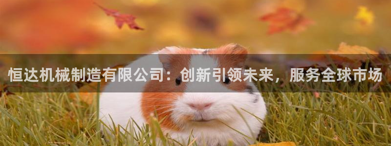 云顶集团董事长林东简历