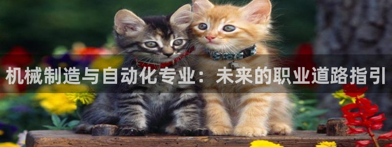 云顶国际官网下载手机版