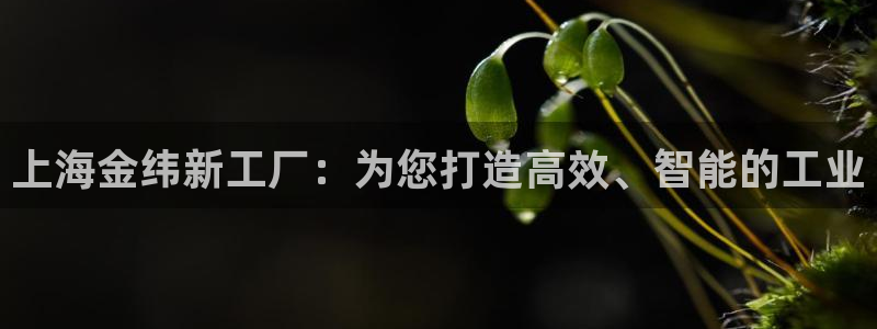 云顶国际中学