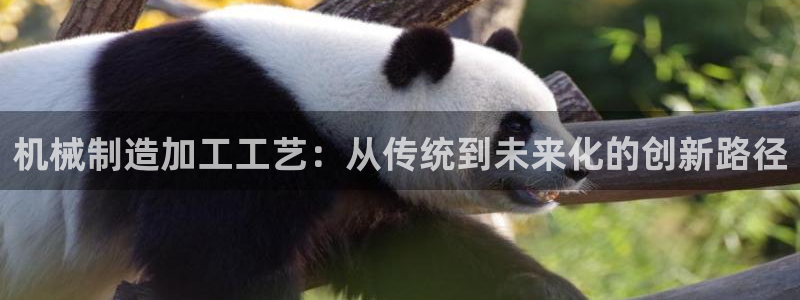 云顶国际(集团)开发实业有限公司