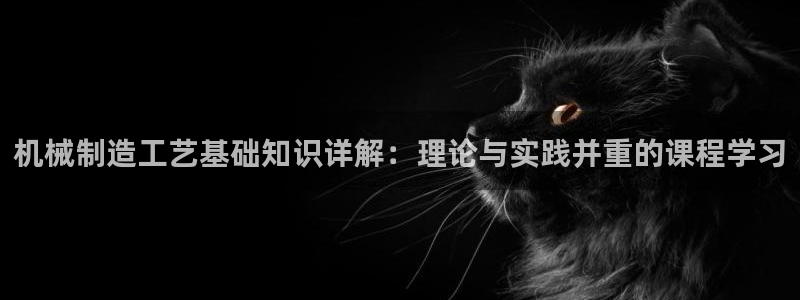 云顶国际服s11什么时候更新