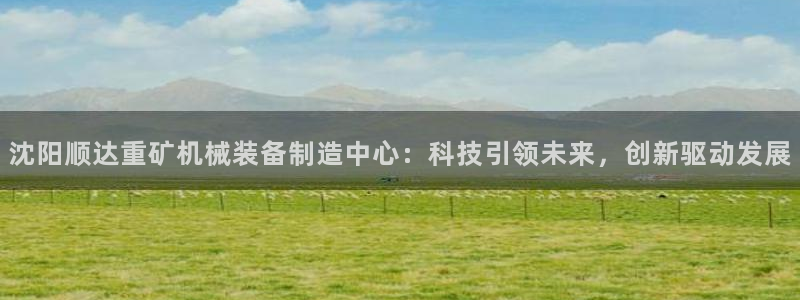 云顶集团公司简介